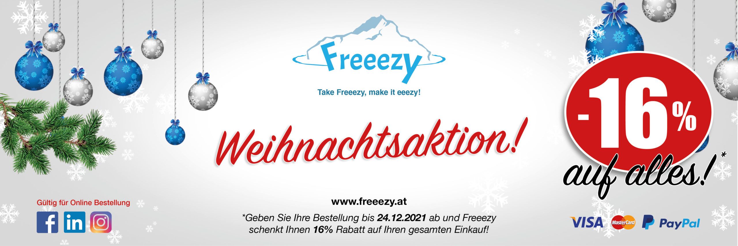 Banner Freeezy Weihnachtsaktion 2021